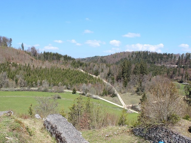 Im Fruehling 2019 (2)